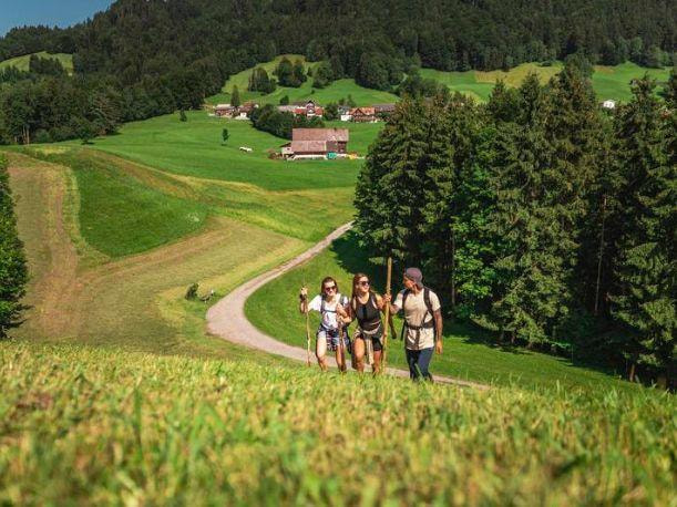 Escursioni nella foresta di Bregenz