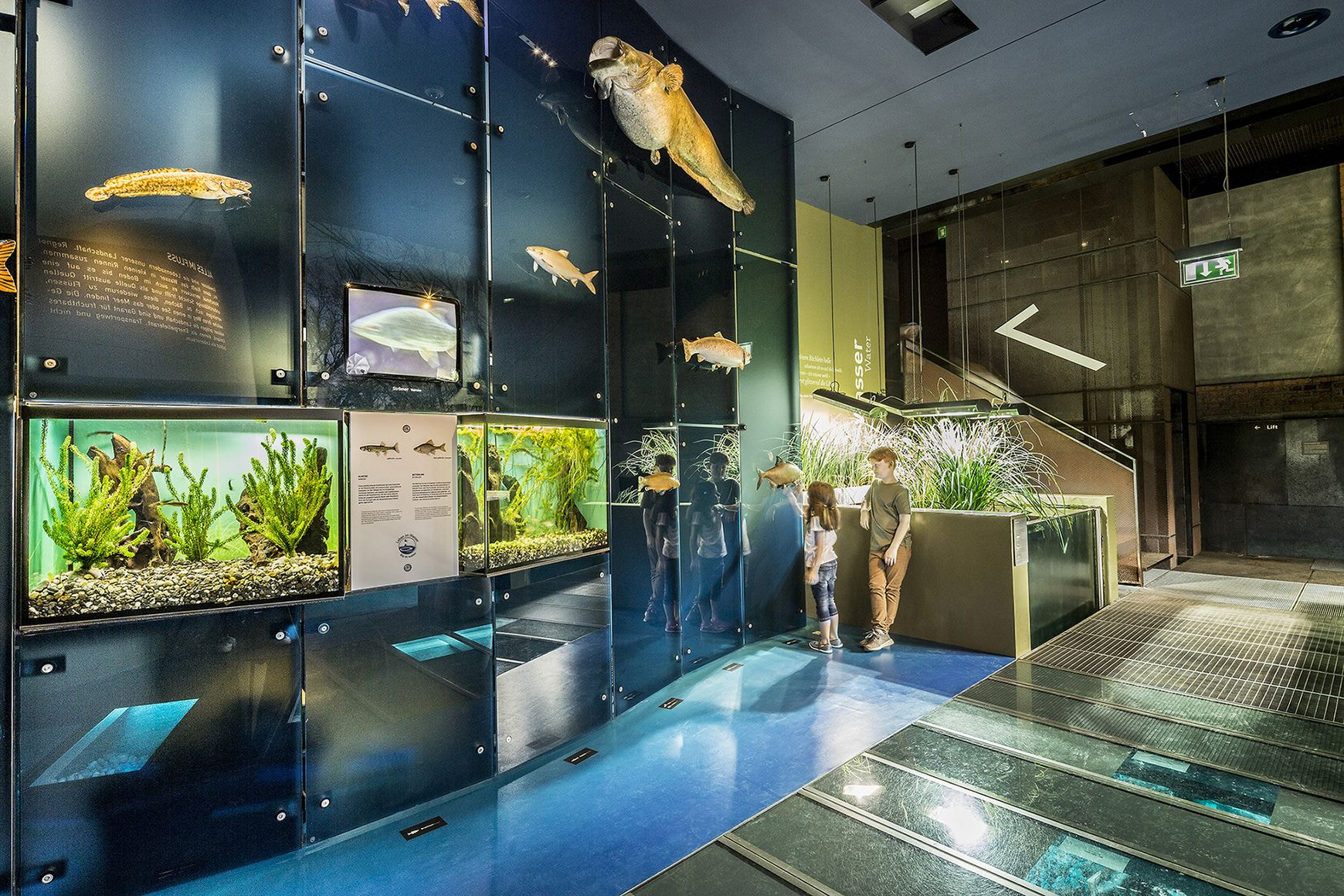 csm_inatura_Wasser_14_13a03c6f13-2669121449