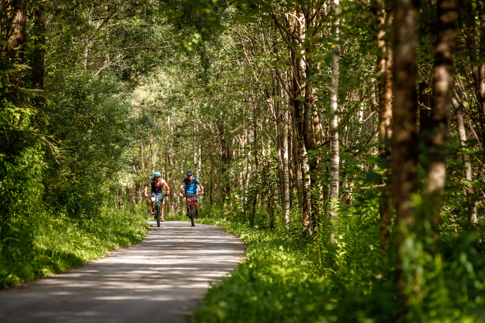 E-Biker fahren die Lienzer Talbodenrunde