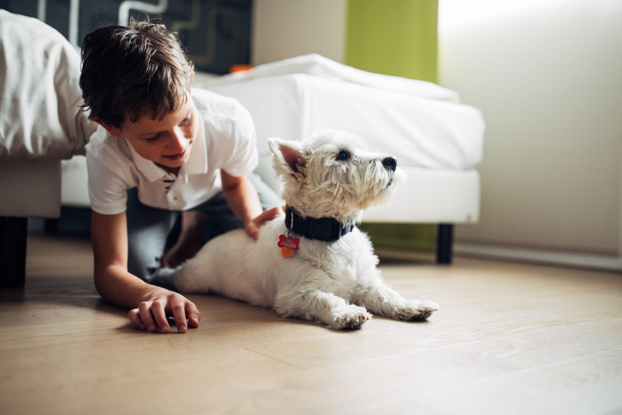 harryshome_18_72dpi_ap_dz (204 von 321)